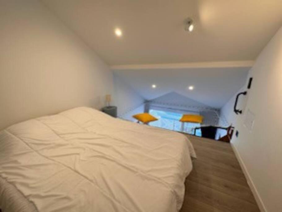 "Le Filet Du Lac" Appartement Atypique, 5 Personnes, Duplex, Vue Lac, Acces Parc Aquatique Gratuit Talmont-Saint-Hilaire Exterior photo